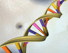 double-helix-genomegov.jpg