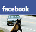 facebook-roadkill.jpg