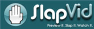 slapvid-logo.jpg