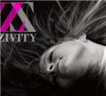 zivity-more.jpg