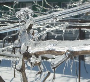 russianwinter