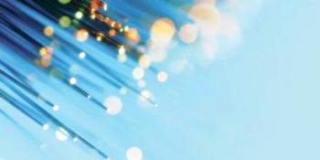 Netherlands becomes second country to make net neutrality a law