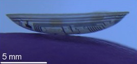 bionic_lens