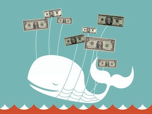 twitter-money