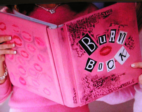 Unvarnished is no "burn book."