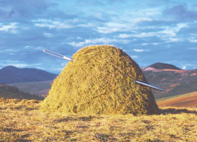 discoverybeat haystack contest