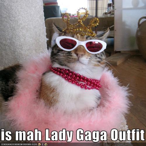 Lady Gaga Lolcat