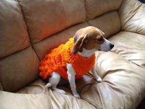 Yardsellr Dog Sweater
