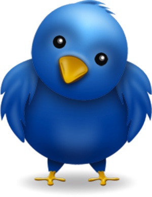 twitter bird