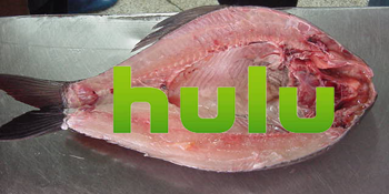 Hulu's owners are gutting the service: More commercials and longer delays ahead
