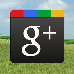 google_plus_open_network