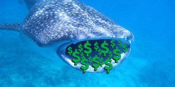 Google Ventures invests in WhaleShark Media, just in time for Shark Week