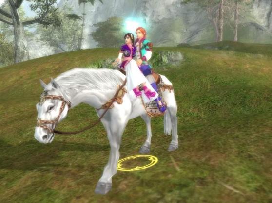 China's Perfect World is an online game similar to World of Warcraft