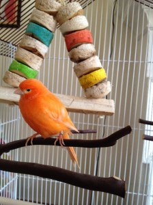 iPhone 4S camera test