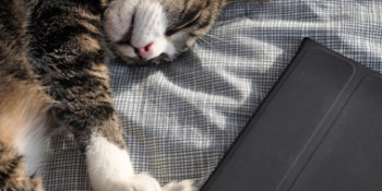 iPad buyers are exactly who you think they are, but with pets (infographic)