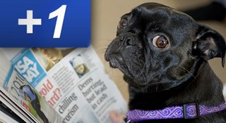 Google+ is now coming to Google News