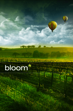 Bloom splash page