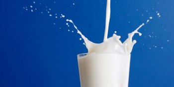 With $1.5 million investment Google Ventures thinks Milk will make a splash