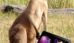 Samsung Galaxy Tab 10.1 no longer banned in Australia