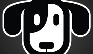 Shodogg will let you pause and restart video from any device (exclusive)