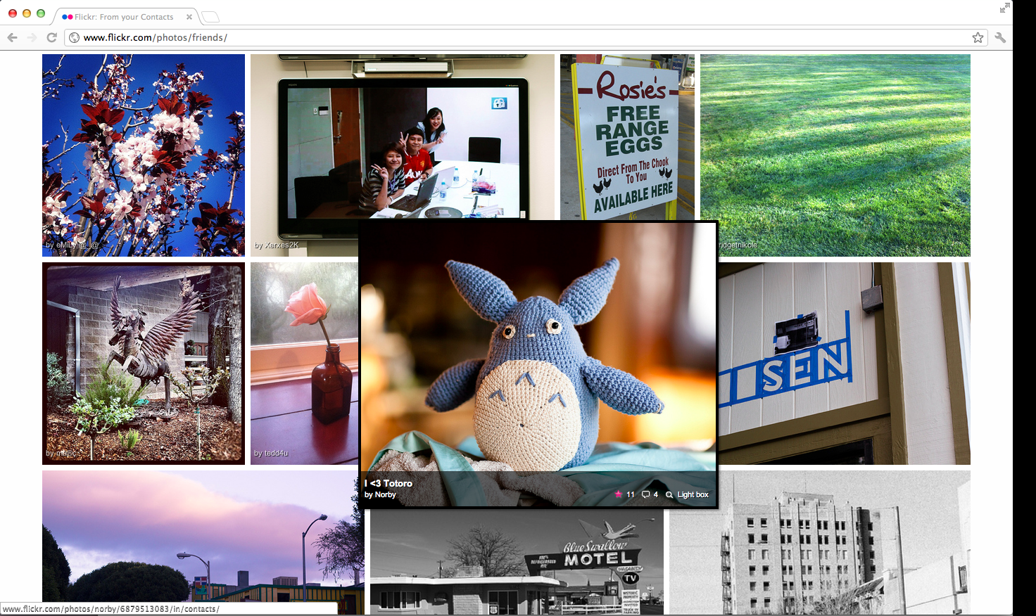 flickr_contacts_view_NEW_2