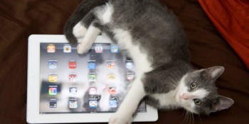 iPad 3 sought after by one-third of mobile web users, says study