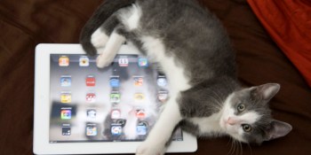 iPad 3 sought after by one-third of mobile web users, says study