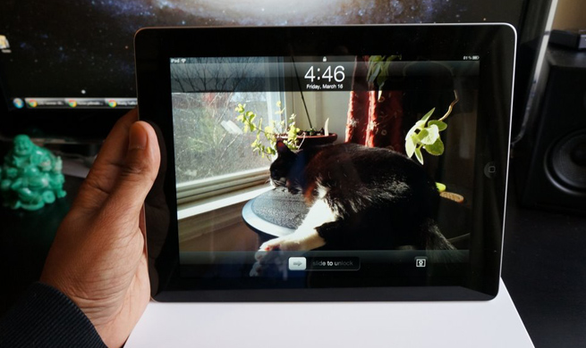 new-ipad-kitty-hot