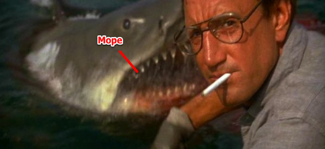 Jaws