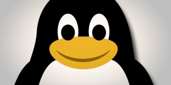 Hiring managers: “A good Linux-head is hard to find”