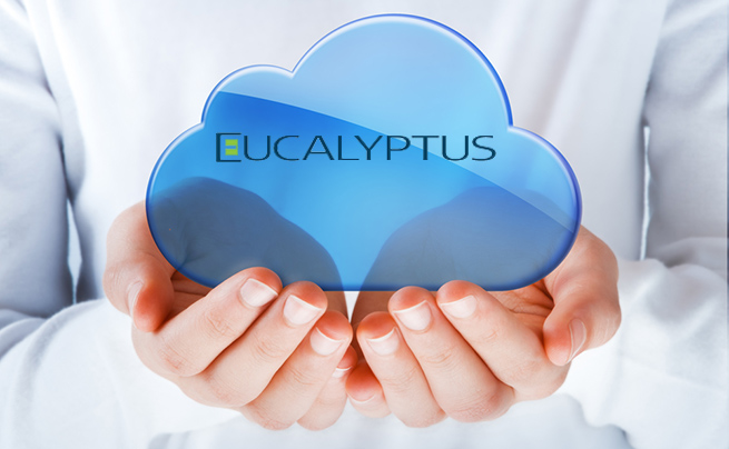 ss-eucalyptus-funding-open-source