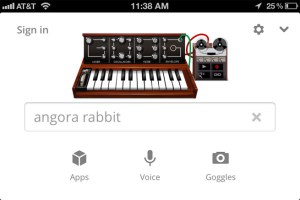 Google Search App