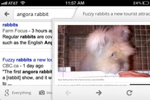 Google Search iPhone app slider