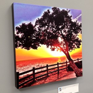 instacanvas canvas