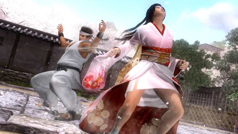 Dead or Alive 5 2