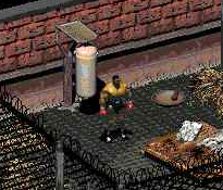 Fallout 2 Masticator