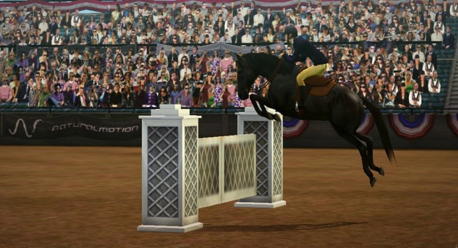My Horse