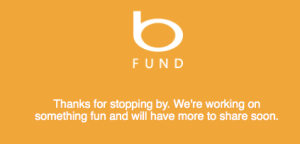 Screenshot of the Bing Fund placeholder website