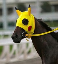 A Pikachu horse, I guess.