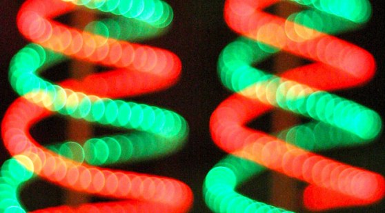 dna