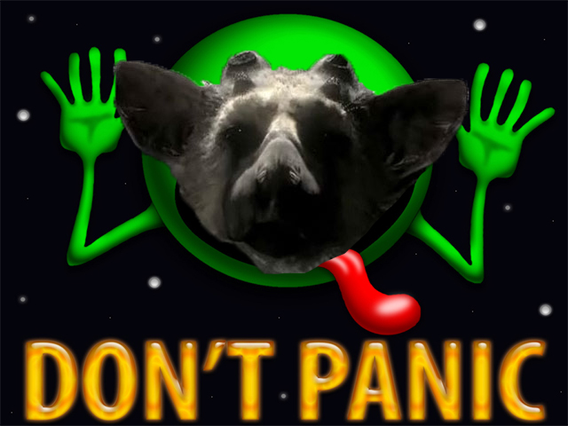 The Last Guardian -- Don't Panic!