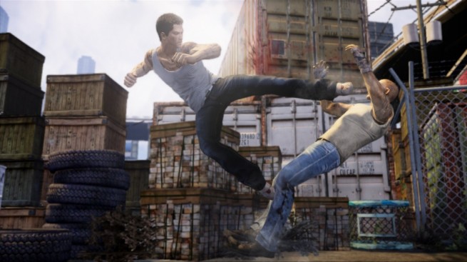 Sleeping Dogs 4