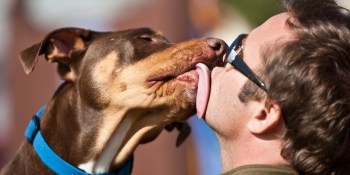 Apple gives Facebook a big, wet, mushy kiss