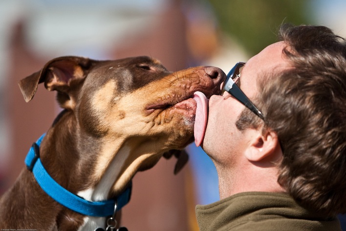 Like a big ol' dog, Apple is giving Facebook a huge wet sloppy kiss