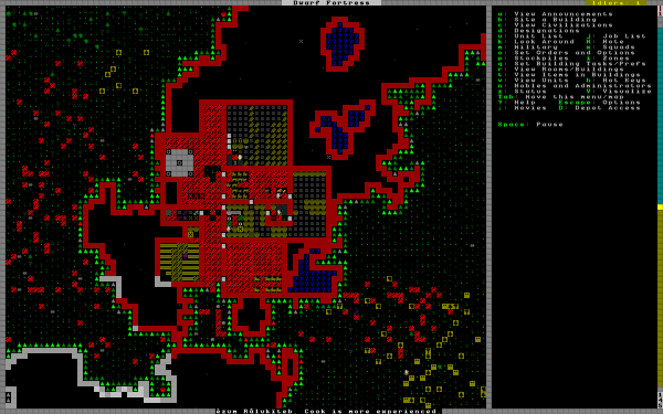 DwarfFortress-1