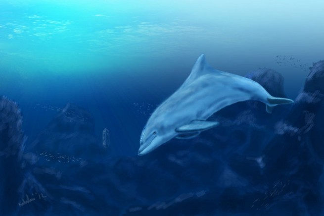 Ecco the Dolphin by Blackdragon21