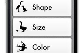 Birdeez Screen shot showing shape, size, color