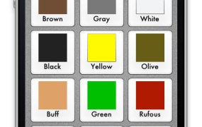 Birdeez screenshot to select the color of bird