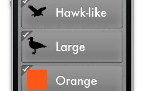 Birdeez screenshot showing bird characteristics user has selected