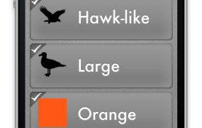 Birdeez screenshot showing bird characteristics user has selected